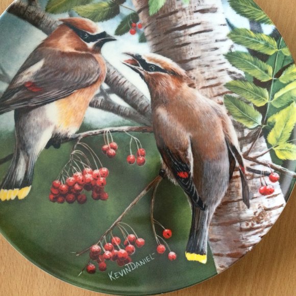 Cedar Waxwing Birds of your Garden collection by Kevin Daniel Knowles plate 1987 - Picture 3 of 4